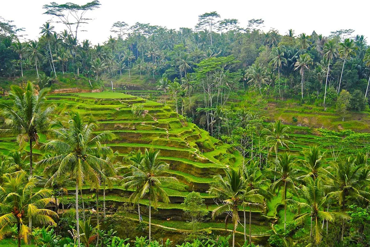 paket tour bali selatan